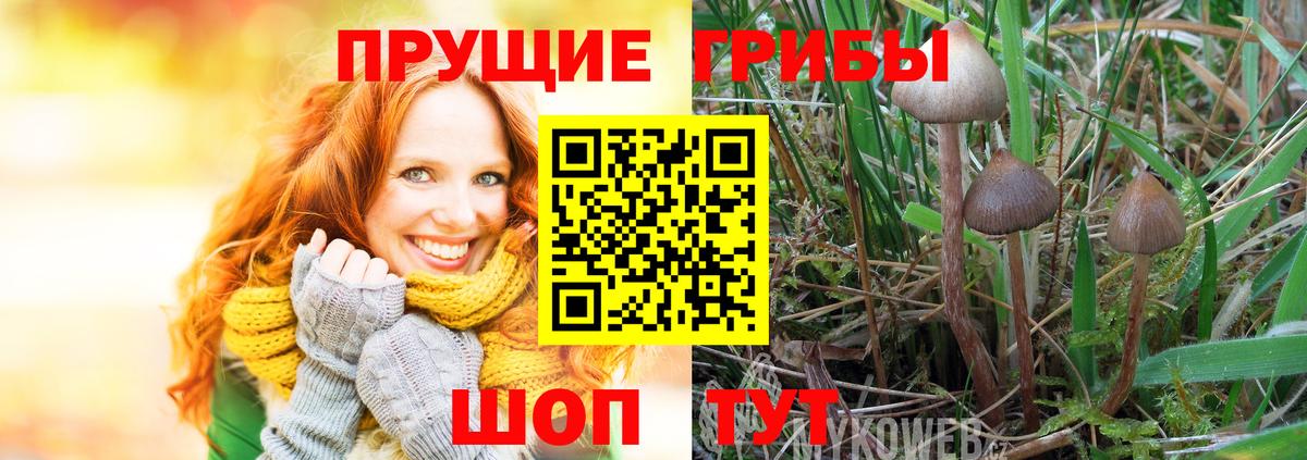 Псилоцибиновые грибы Psilocybine cubensis  Вход с VPN  Димитровград  Галлюциногенные грибы прущие грибы 