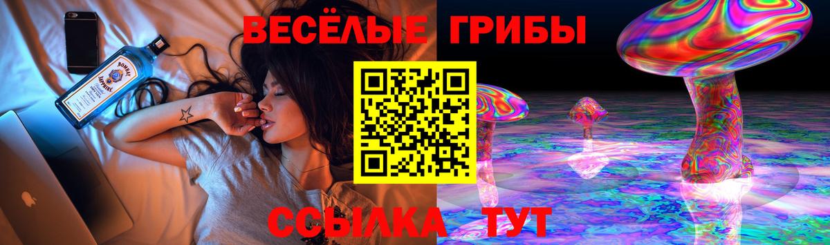 COCAIN Димитровград